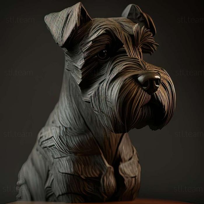 Zwergschnauzer dog